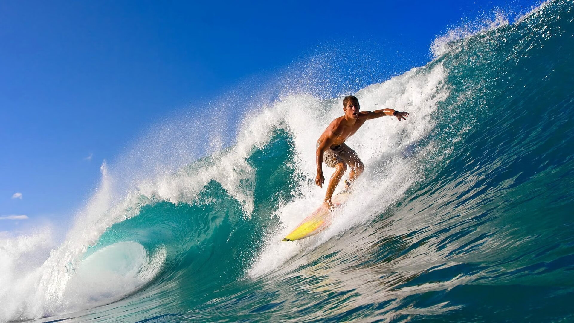 美加墨世界杯焦点战，巴黎争冠战，伊朗的坚韧与世界的惊叹